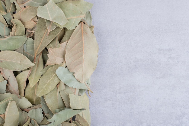 Bezpłatne zdjęcie suche zielone liście laurowe na betonowym tle. zdjęcie wysokiej jakości