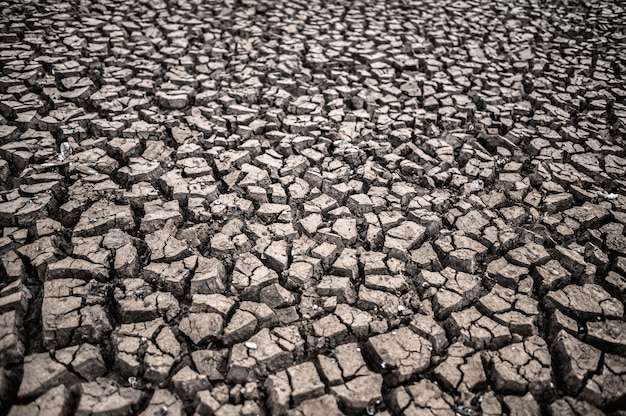 Bezpłatne zdjęcie suchy ląd z suchą i popękaną ziemią, globalne ocieplenie