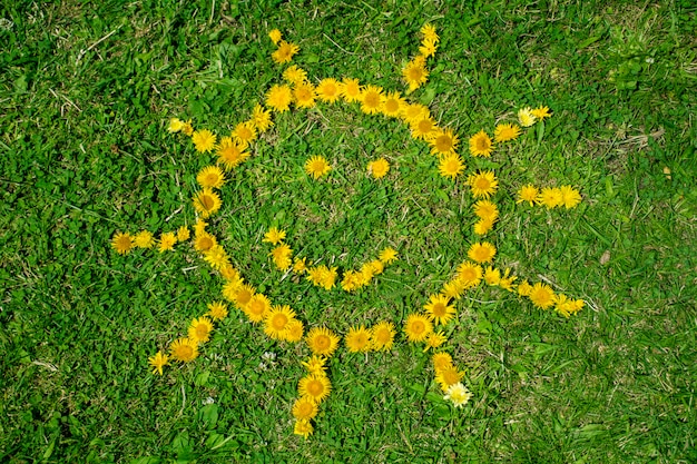 Bezpłatne zdjęcie sun wykonane z żółtymi kwiatami