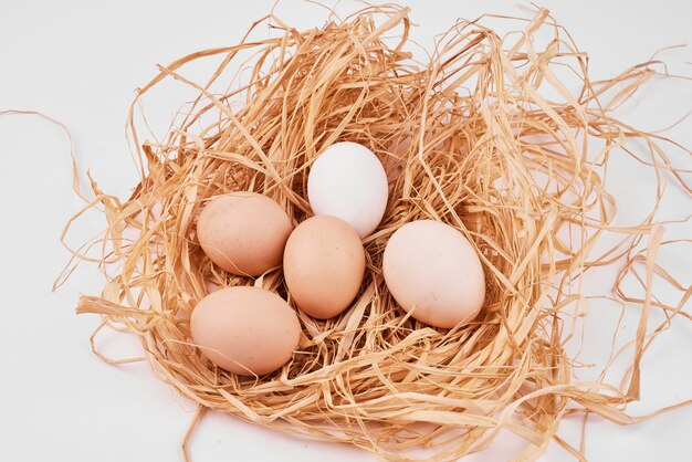 Surowe jaja w ptasie gniazdo na białej powierzchni.