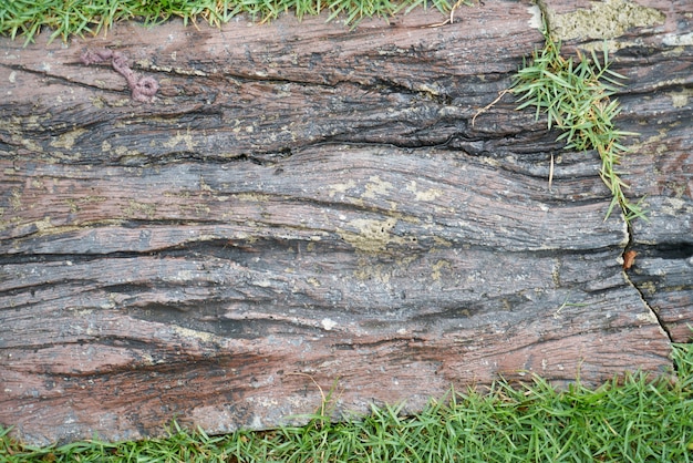 Surowy charakter detal drzewo brązowy