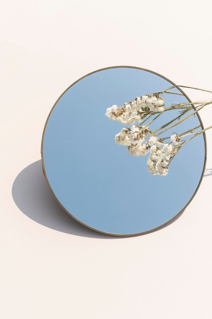 Bezpłatne zdjęcie suszony biały kwiat statice nad okrągłym lustrem