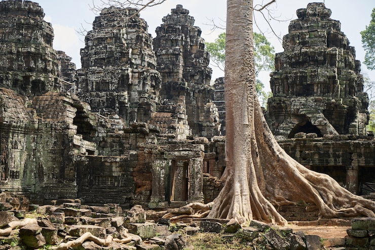 Bezpłatny plik Zdjęcie świątynia angkor wat i drzewa