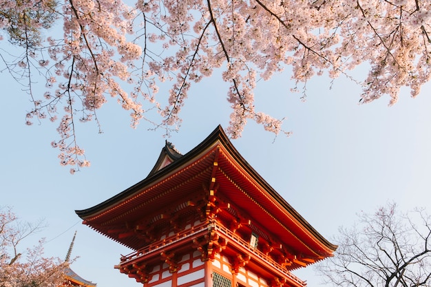 Bezpłatne zdjęcie Świątynia kiyomizu-dera i sakura w japonii