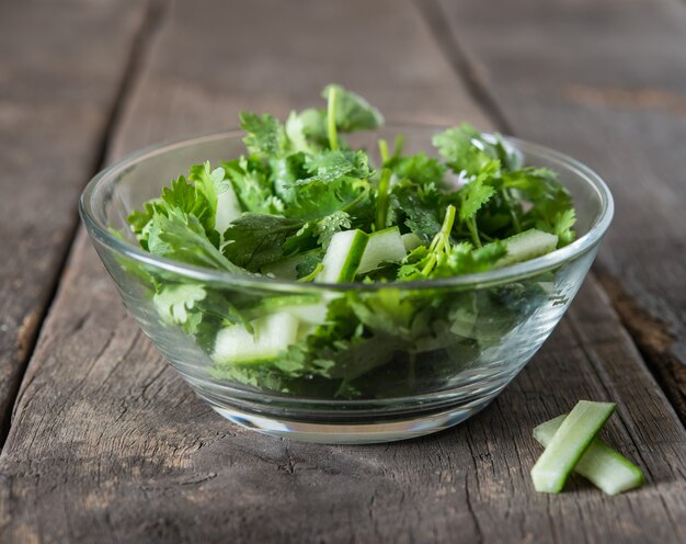 Świeża sałatka cilantro, kolendra z sałatką ogórków. Koncepcja zdrowej żywności.