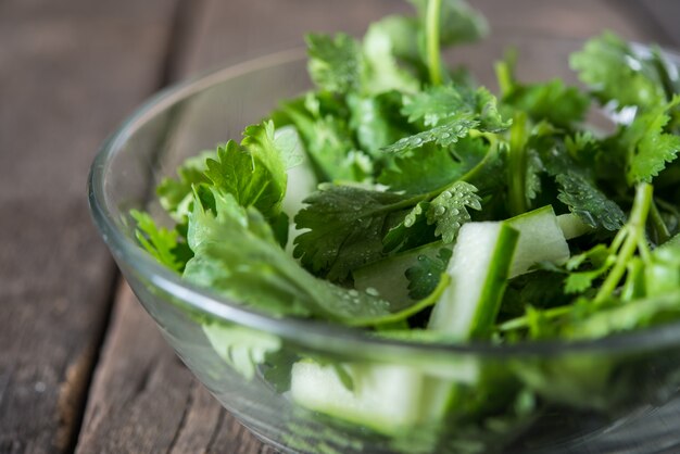 Świeża sałatka cilantro, kolendra z sałatką ogórków. Koncepcja zdrowej żywności.