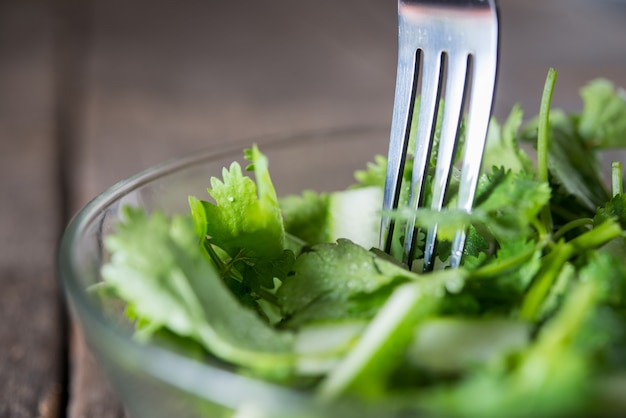 Świeża sałatka cilantro, kolendra z sałatką ogórków. Koncepcja zdrowej żywności.