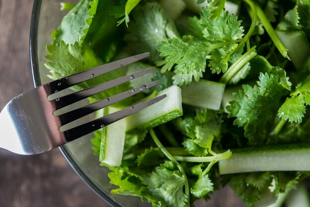 Świeża sałatka cilantro, kolendra z sałatką ogórków. Koncepcja zdrowej żywności.