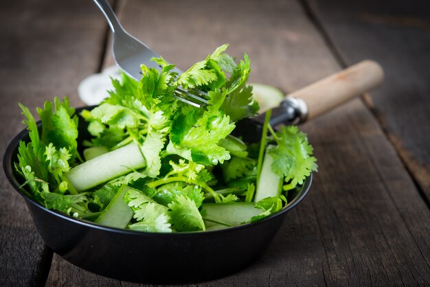 Świeża sałatka cilantro, kolendra z sałatką ogórków. Koncepcja zdrowej żywności.