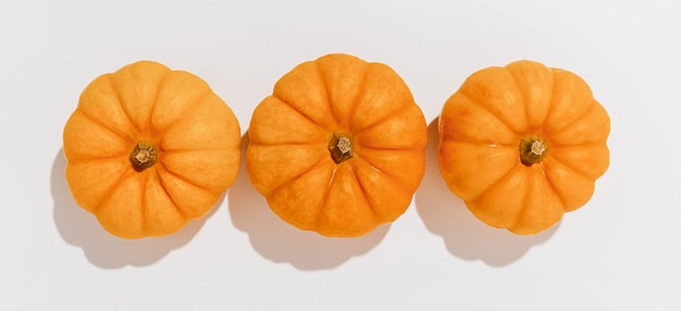 Świeże dojrzałe pomarańczowe dynie na białym tle. miejsce na makiety tekstowe koncepcja halloween