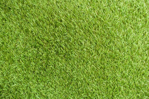 Świeże tło pokrycie piękne stadion trawy