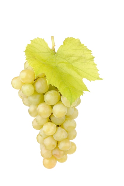 Świeże zielone winogrona z liśćmi na białym tle