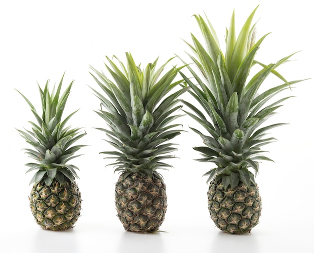 Świeży ananas