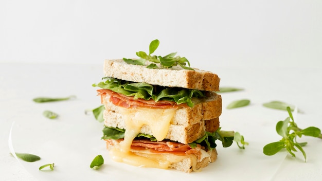 Bezpłatne zdjęcie Świeży tost z serem i warzywami