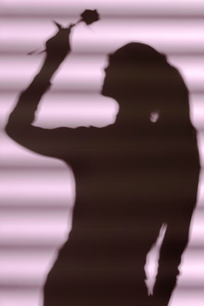 Bezpłatne zdjęcie sylwetka kobiety w domu z cieniami okien