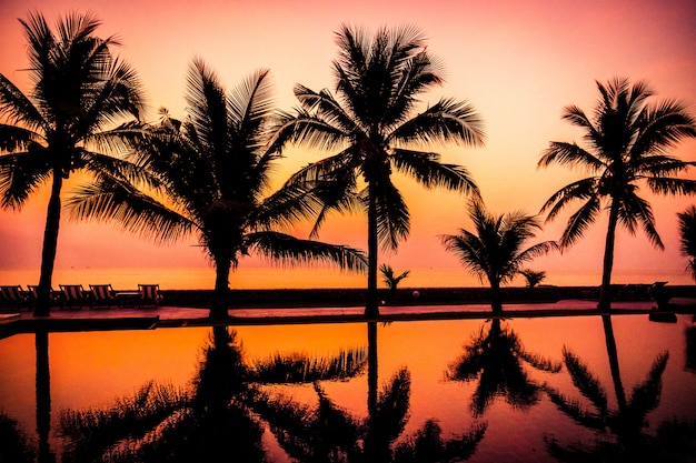Bezpłatne zdjęcie sylwetka kokosowe palmy wokół odkrytego basenu
