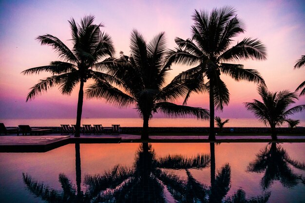 Sylwetka kokosowe palmy wokół odkrytego basenu