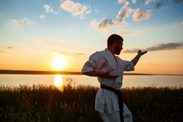 Sylwetka sportowego mężczyzna stażowy karate w polu przy wschodem słońca.