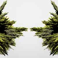 Bezpłatne zdjęcie symetria zielony metaliczny do golenia na białym tle