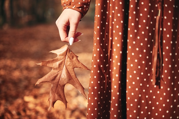 Bezpłatne zdjęcie szczegół nierozpoznawalnej kobiety trzymającej liść
