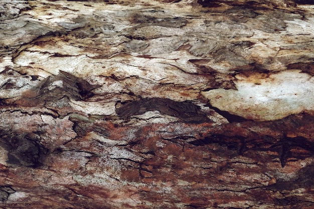 Szczegółowa tekstura drzewny drewno