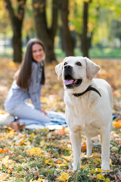 Szczęśliwa kobieta z ślicznym labradorem w parku