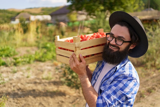 Szczęśliwy rolnik trzymający zebrane eko pomidory spacerujący z pełną skrzynią na ramieniu hist
