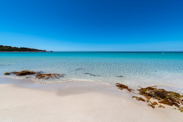 Bezpłatne zdjęcie szeroki kąt strzału niektórych skał na plaży green bay w australii zachodniej pod błękitnym niebem