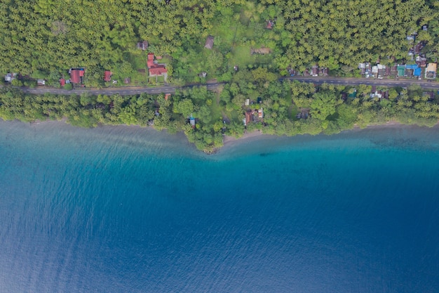 Bezpłatne zdjęcie szeroki kąt strzału oceanu przed plażą porośniętą drzewami