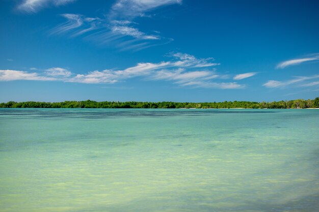 Szeroki kąt strzału z plaży pod jasnym, błękitnym niebem