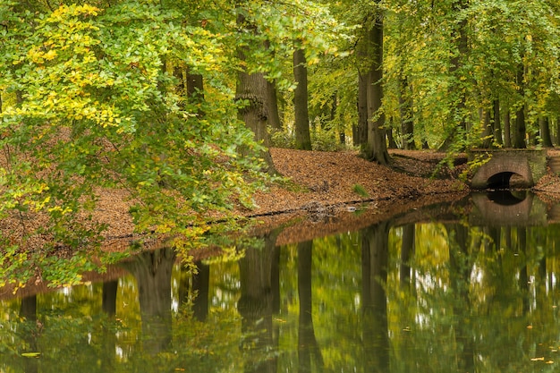 Bezpłatne zdjęcie szerokie ujęcie jeziora w parku pełnym drzew i kamiennego mostu w pochmurny dzień