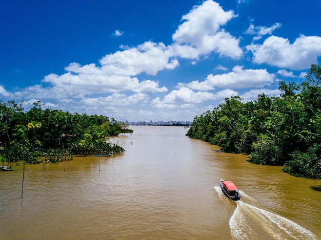 Bezpłatne zdjęcie szerokokątne ujęcie łodzi płynącej po rzece i przechodzącej przez drzewa