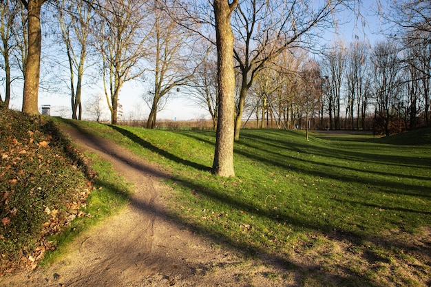Bezpłatne zdjęcie szerokokątne ujęcie parku otoczonego drzewami w ciągu dnia