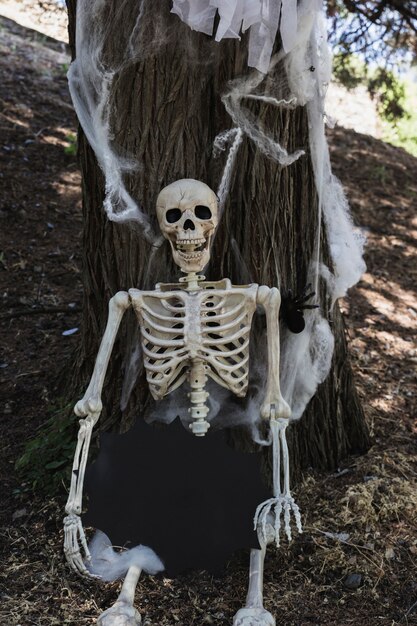 Szkielet siedzi w pobliżu drzewa i trzymając tabletkę w formie zmaza
