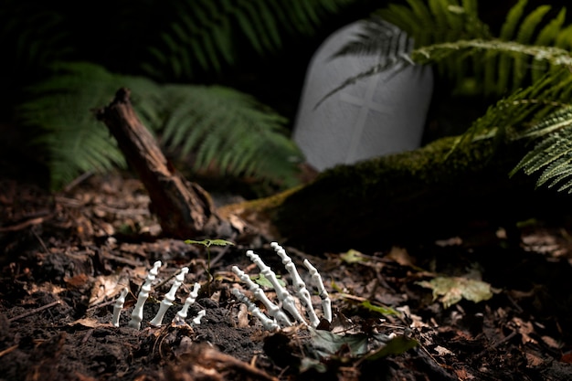 Szkieletowe ręce na ziemi na cmentarzu