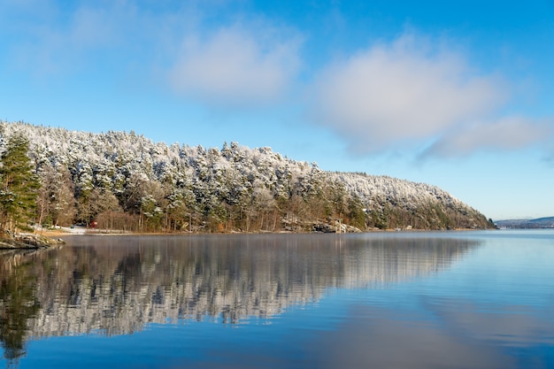 Szron i trochę śniegu na drzewach, spokojna woda z refleksami.