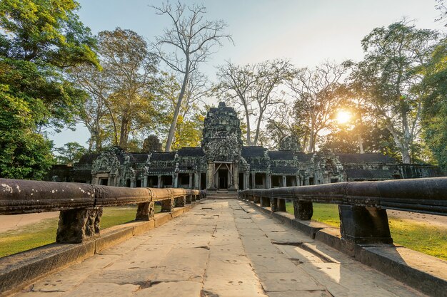 Ta Prohm, Angkor Wat w Kambodży.