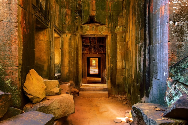 Bezpłatne zdjęcie ta prohm, angkor wat w kambodży.