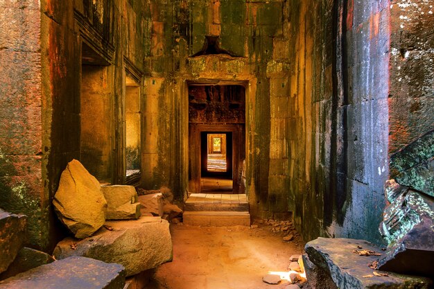 Ta Prohm, Angkor Wat w Kambodży.