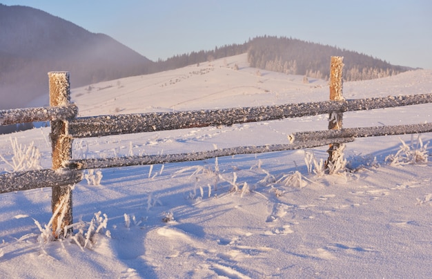 Tajemniczy zimowy krajobraz majestatyczne góry zimą. Magiczne drzewo pokryte śniegiem zimy. Zdjęcie kartkę z życzeniami. Karpacki. Ukraina