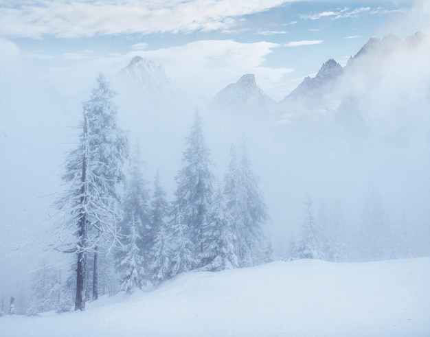 Tajemniczy zimowy krajobraz majestatyczne góry zimą.