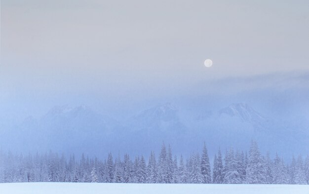 Tajemniczy zimowy krajobraz majestatyczne góry zimą.