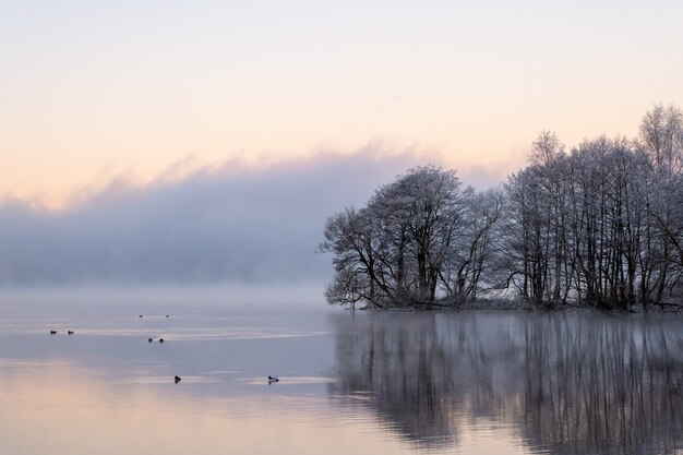 Tańczące wróżki nad jeziorem, spokojna woda i refleksy o wschodzie słońca.