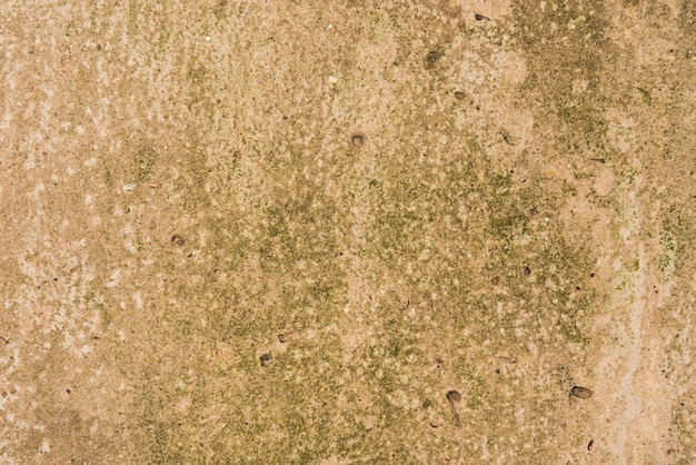 Tekstura stara betonowa ściana dla tła