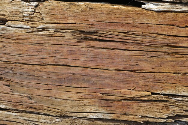 Tekstura uszkodzonego drewna