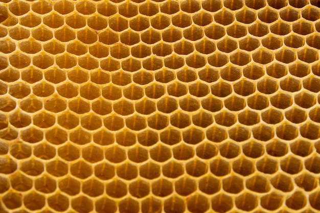Tekstura żółty plaster miodu