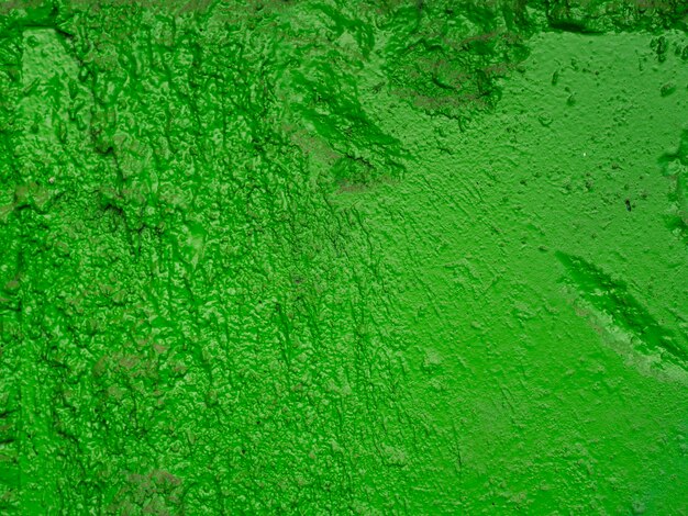 Teksturowana powierzchnia w kolorze zielonym
