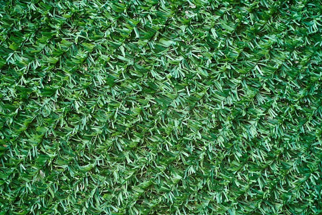 Tekstury sztucznej trawy