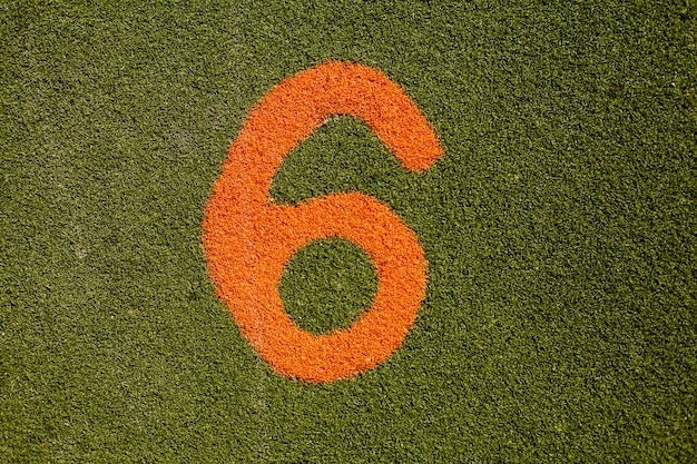 Tekstury zielonej trawie z numerem sześciu