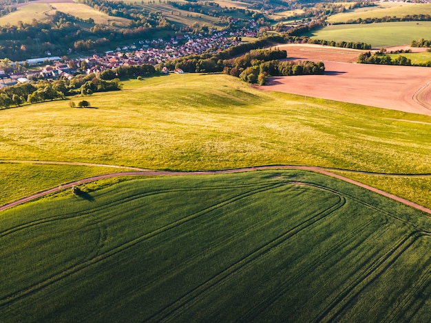 Tereny pokryte zieloną trawą w ciągu dnia